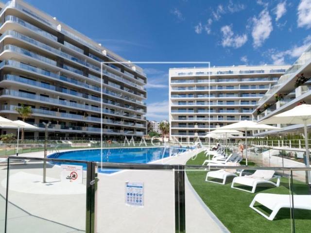 Alquiler Apartamentos Alicante Alicante DLS98881545