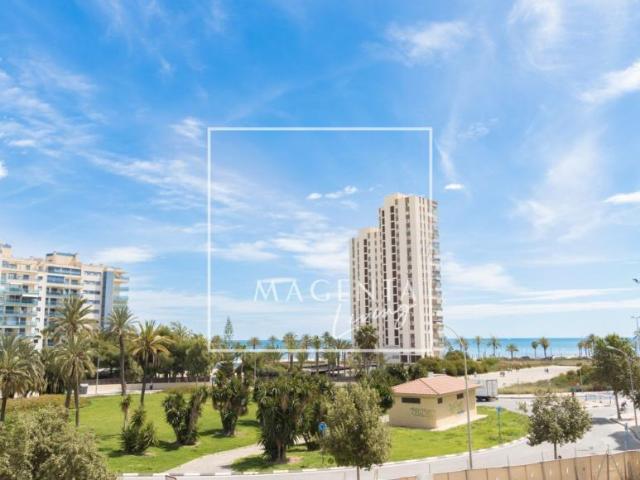 Alquiler Apartamentos Alicante Alicante DLS98881547
