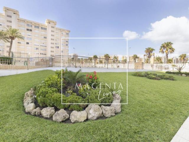 Alquiler Apartamentos Alicante Alicante DLS98881548