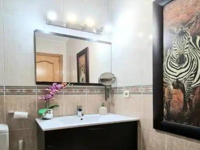 Alquiler Apartamentos Alicante Alicante DS91985451