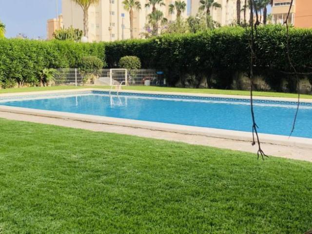 Alquiler Apartamentos Alicante Alicante DS101810394