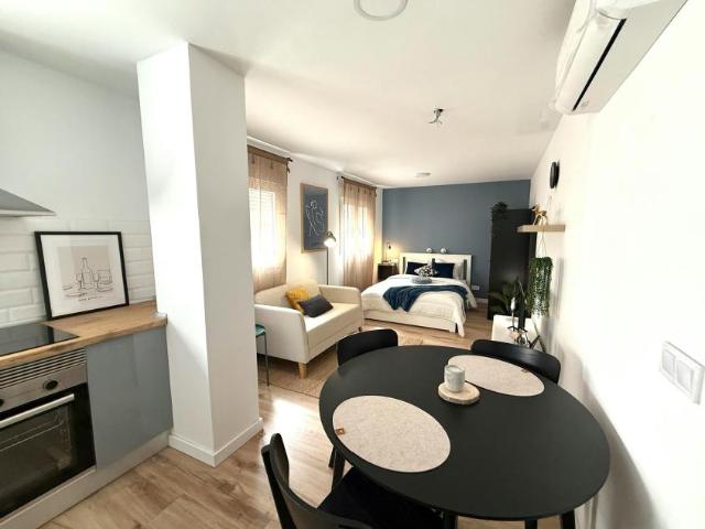 Alquiler Apartamentos Alicante Alicante DS104783048