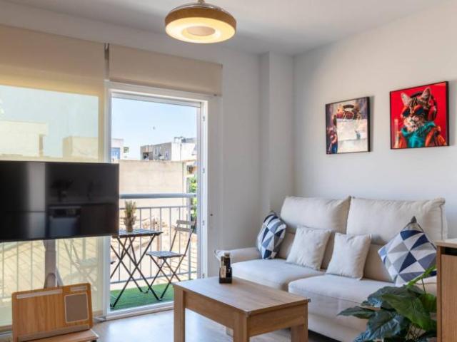 Alquiler Apartamentos Alicante Alicante DS104259355