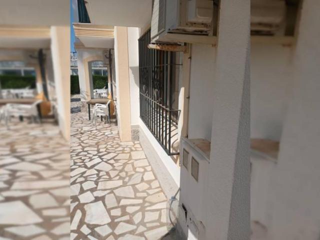 Alquiler Apartamentos Almeria Almeria DS93056039