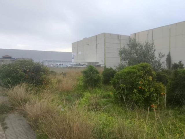 Alquiler Apartamentos Alqueria De La Comtessa Valencia DLS101910917