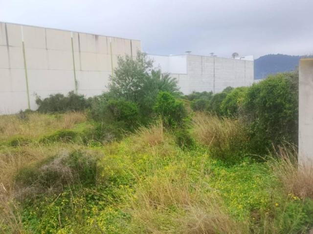 Alquiler Apartamentos Alqueria De La Comtessa Valencia DLS101910921