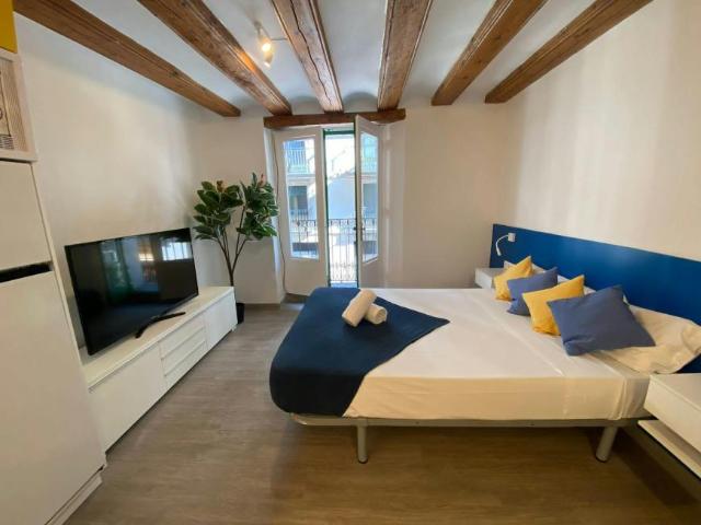 Alquiler Apartamentos Barcelona Barcelona DLS99883097