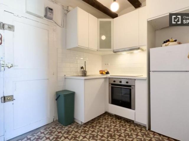 Alquiler Apartamentos Barcelona Barcelona DLS101762120