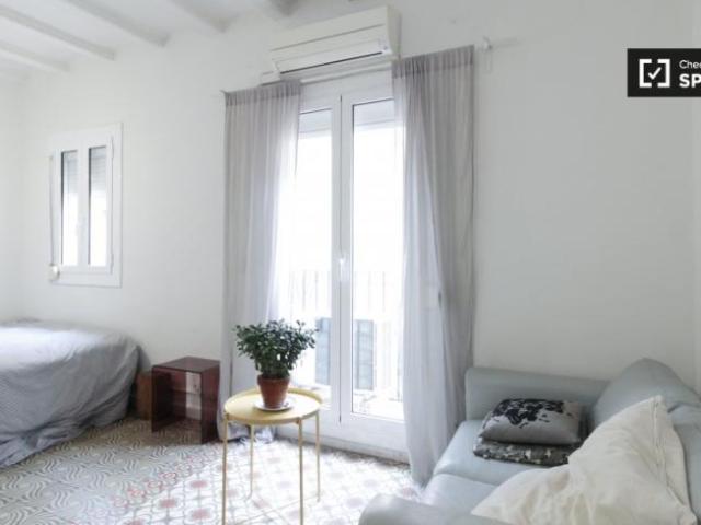 Alquiler Apartamentos Barcelona Barcelona DLS101812895