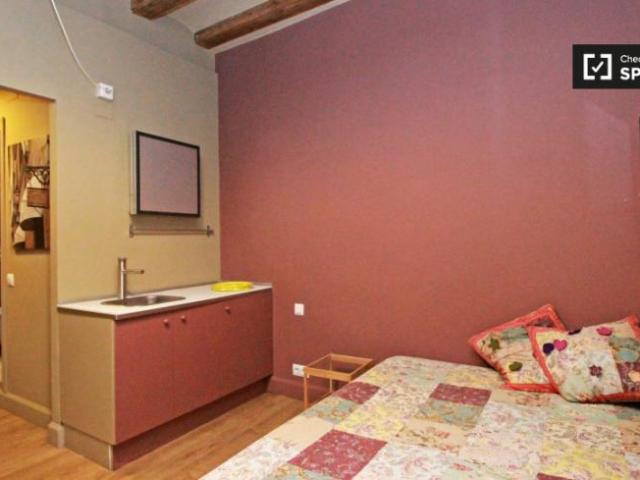 Alquiler Apartamentos Barcelona Barcelona DLS101815574