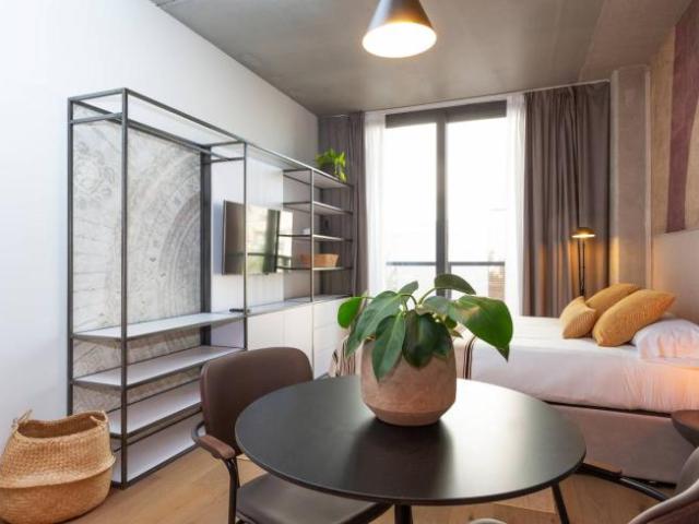 Alquiler Apartamentos Barcelona Barcelona DLS102853226