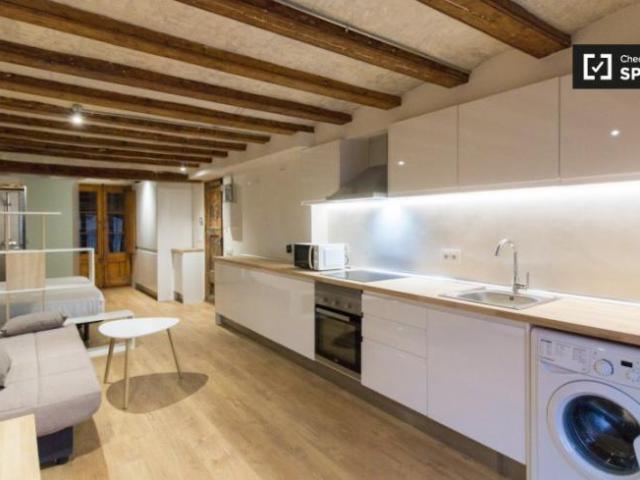 Alquiler Apartamentos Barcelona Barcelona DS100417286