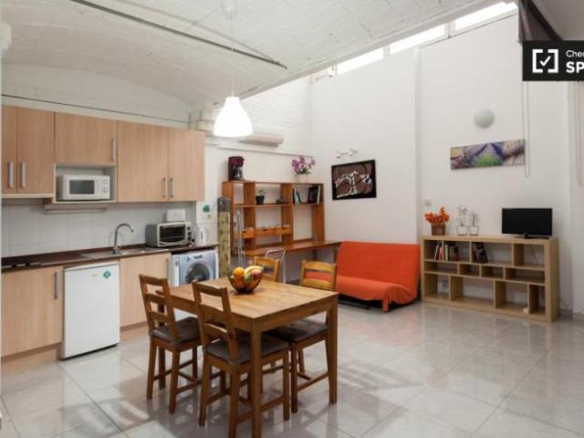 Alquiler Apartamentos Barcelona Barcelona DS101672202