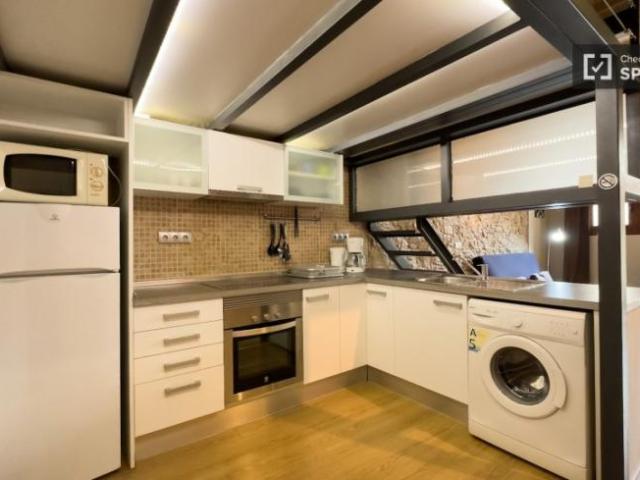 Alquiler Apartamentos Barcelona Barcelona DS101693055