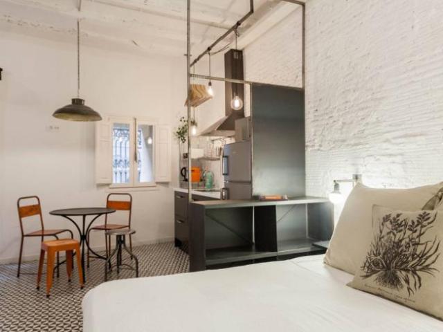Alquiler Apartamentos Barcelona Barcelona DS101771961