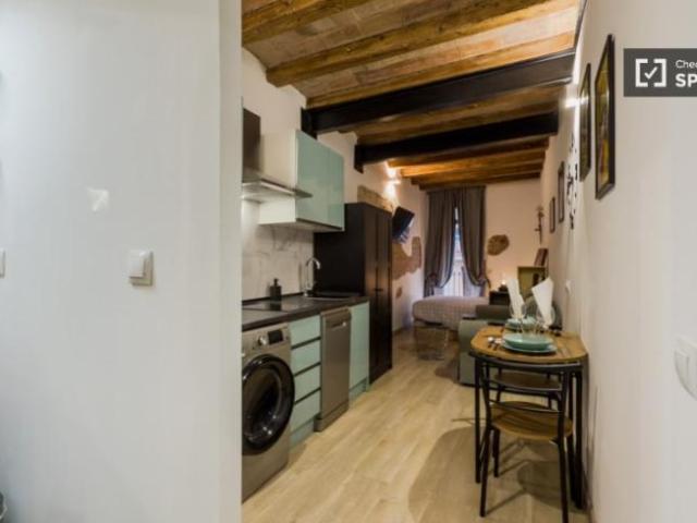 Alquiler Apartamentos Barcelona Barcelona DS101795187