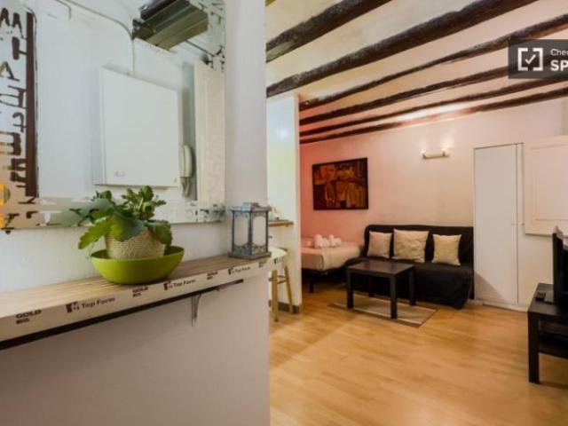 Alquiler Apartamentos Barcelona Barcelona DS101808366