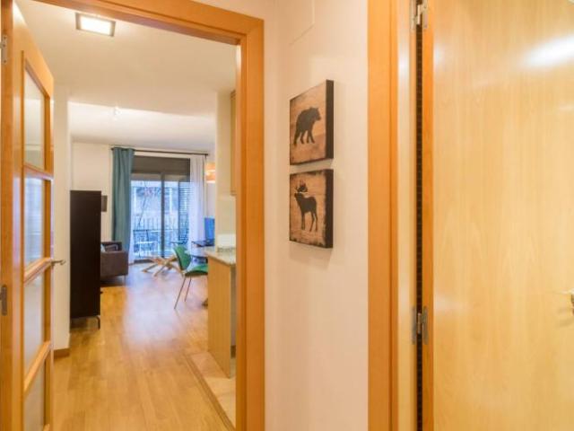 Alquiler Apartamentos Barcelona Barcelona DS101812571