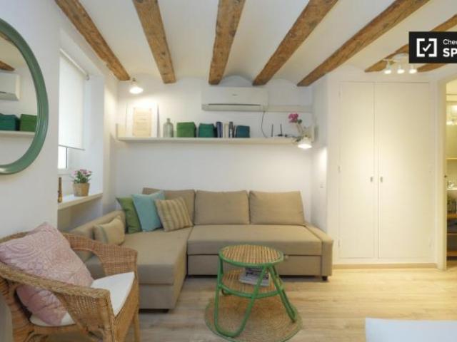 Alquiler Apartamentos Barcelona Barcelona DS101813822