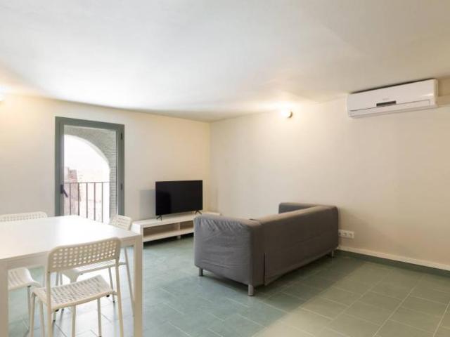Alquiler Apartamentos Barcelona Barcelona DS101814295