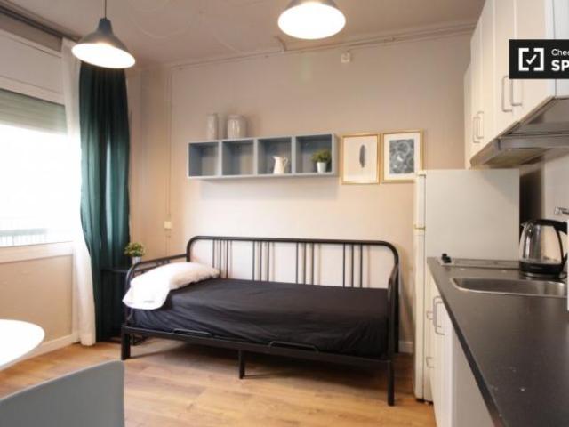 Alquiler Apartamentos Barcelona Barcelona DS101814546