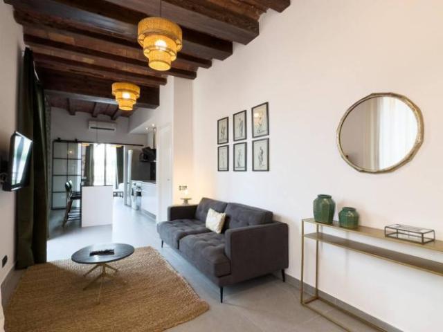 Alquiler Apartamentos Barcelona Barcelona DS101817182