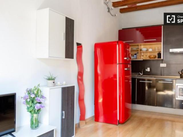 Alquiler Apartamentos Barcelona Barcelona DS101820310