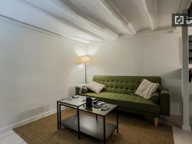 Alquiler Apartamentos Barcelona Barcelona DS101822907