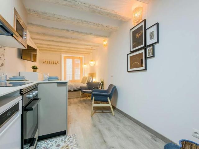 Alquiler Apartamentos Barcelona Barcelona DS102054714