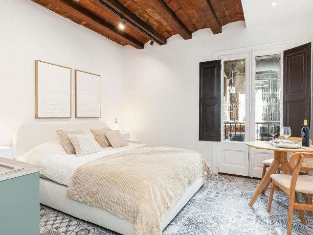 Alquiler Apartamentos Barcelona Barcelona DS102205694