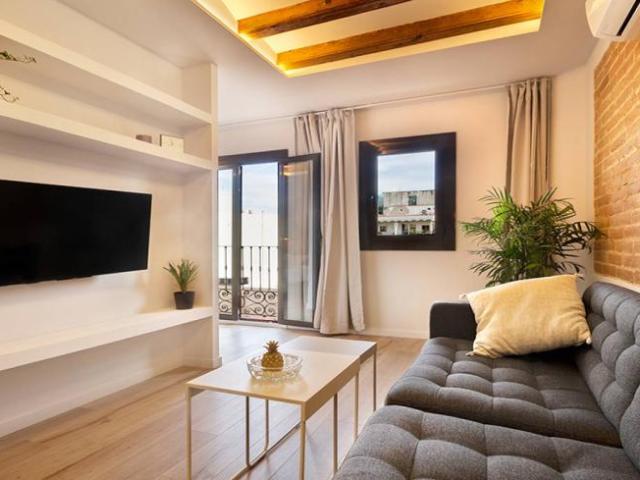 Alquiler Apartamentos Barcelona Barcelona DS102850796