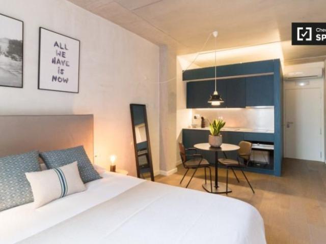Alquiler Apartamentos Barcelona Barcelona DS102853106