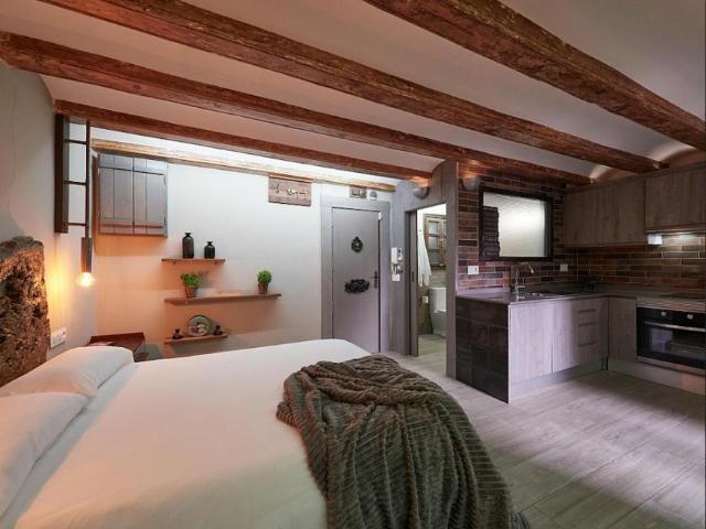 Alquiler Apartamentos Barcelona Barcelona DS104402538