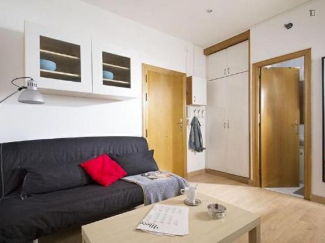 Alquiler Apartamentos Barcelona Barcelona DS104721145