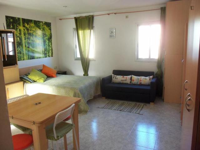 Alquiler Apartamentos Barcelona Barcelona DS104721153