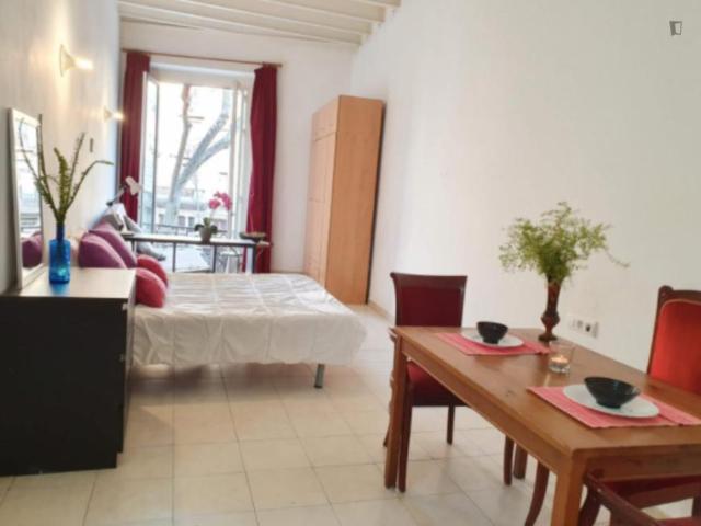 Alquiler Apartamentos Barcelona Barcelona DS104721279