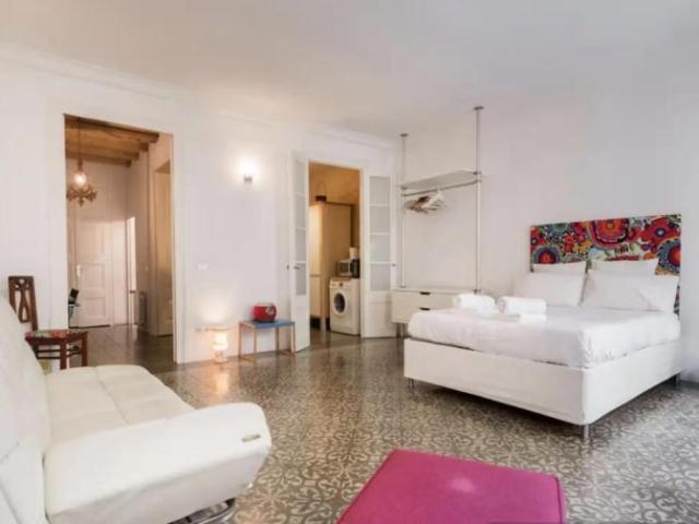 Alquiler Apartamentos Barcelona Barcelona DS104721367