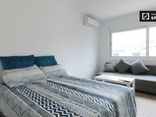 Alquiler Apartamentos Barcelona Barcelona DS104803287