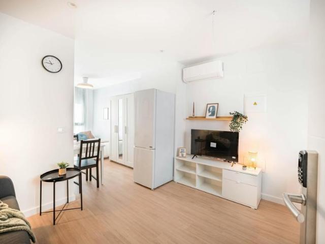 Alquiler Apartamentos Elche Elche DS103396660
