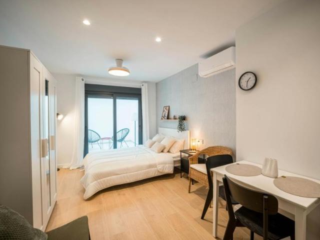 Alquiler Apartamentos Elche Elche DS103396667