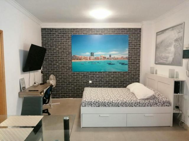 Alquiler Apartamentos Las Palmas De Gran Canaria Las Palmas De Gran Canaria DS79810968