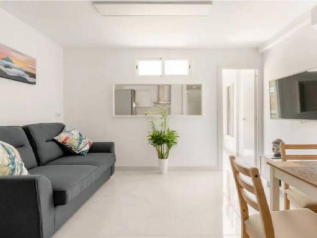 Alquiler Apartamentos Las Palmas De Gran Canaria Las Palmas De Gran Canaria DS101761762