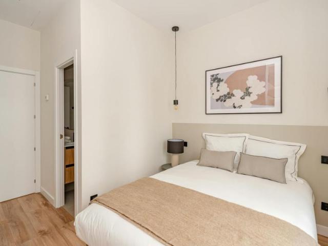 Alquiler Apartamentos Madrid Madrid DLS94091723