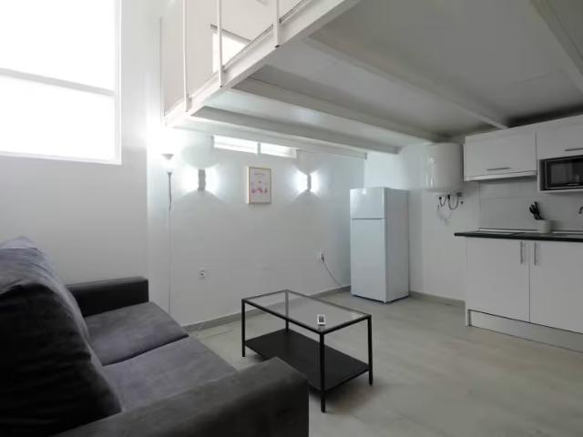 Alquiler Apartamentos Madrid Madrid DLS96346990