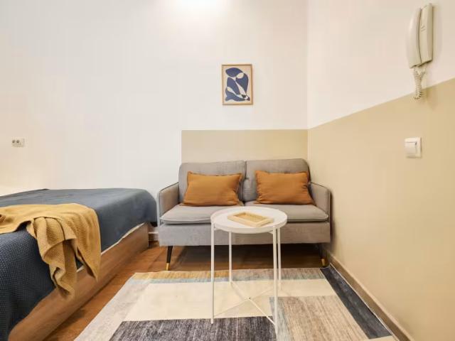 Alquiler Apartamentos Madrid Madrid DLS97052697