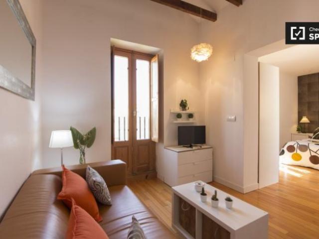 Alquiler Apartamentos Madrid Madrid DLS97132784