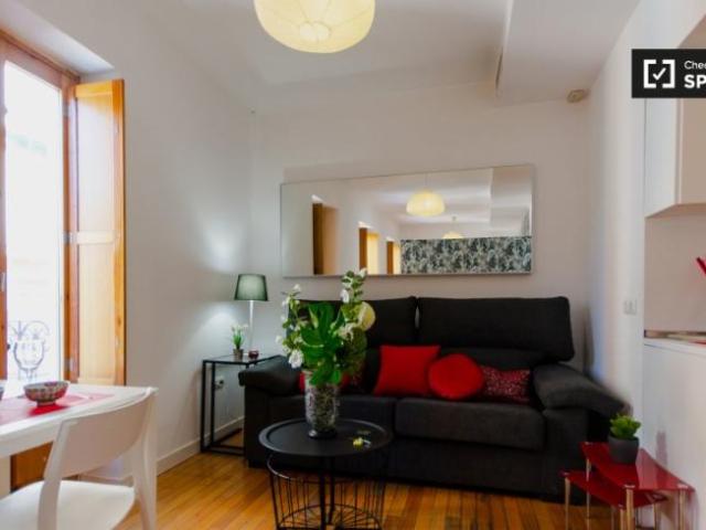 Alquiler Apartamentos Madrid Madrid DLS97132871