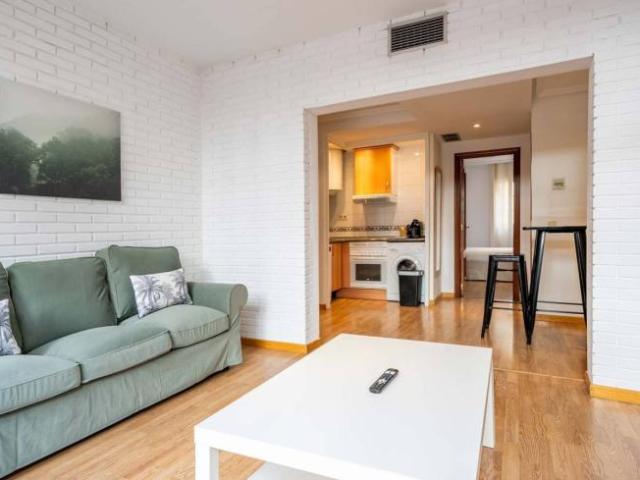 Alquiler Apartamentos Madrid Madrid DLS99010057