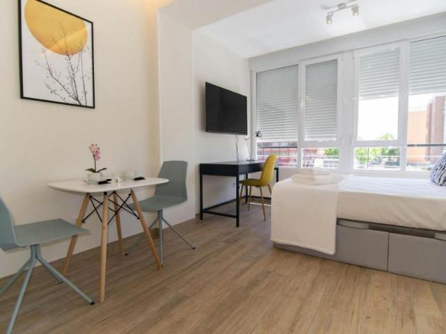 Alquiler Apartamentos Madrid Madrid DLS99232226