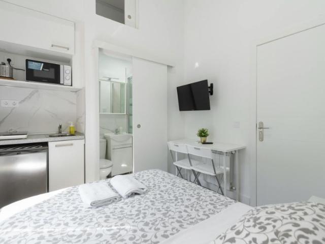 Alquiler Apartamentos Madrid Madrid DLS99307574